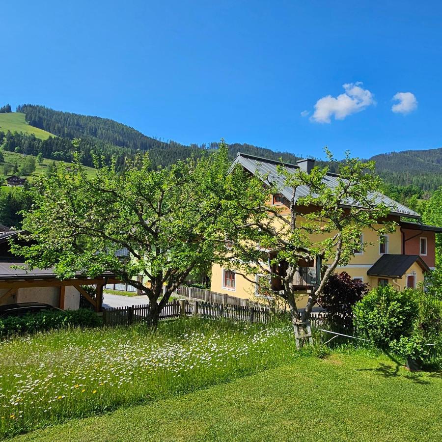 Haus Meikl Mühlbach am Hochkönig Extérieur photo